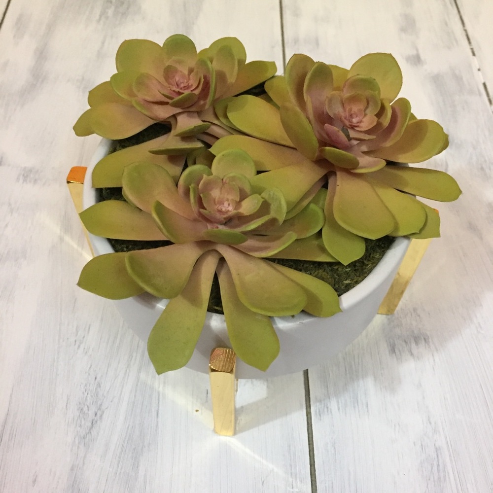 threshold modern gold white faux succulents plant